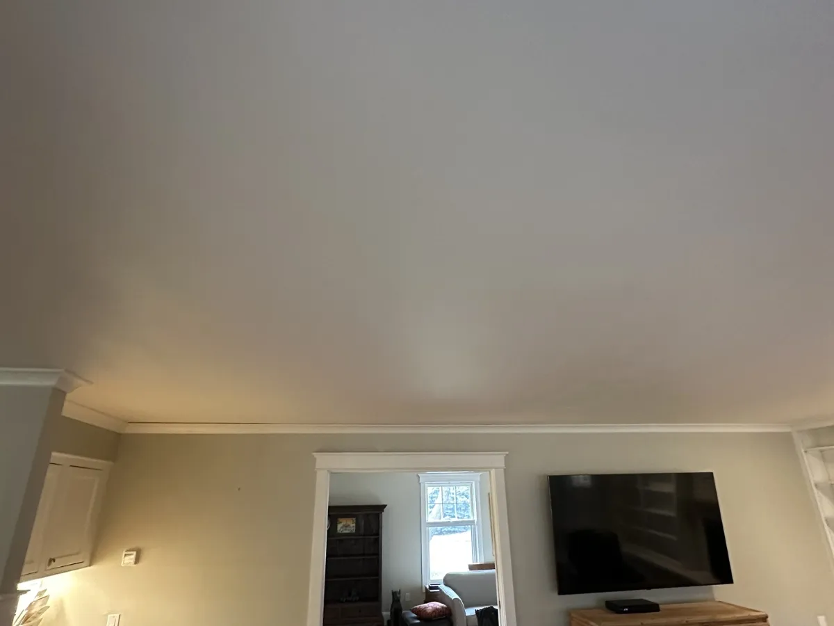 Ceiling Repair After Leak project photo 3 in Longmont